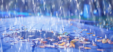 Regen und Laub